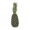 pineapple cotonou