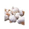 Garlic Bulb