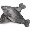 Fresh Tilapia 5kg