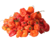 Pepper - Red Habanero